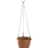 Altakasteluamppeli Gardenico Marina, terrakotta