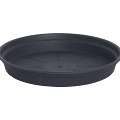Alunen Gardenico Camelie 10 cm