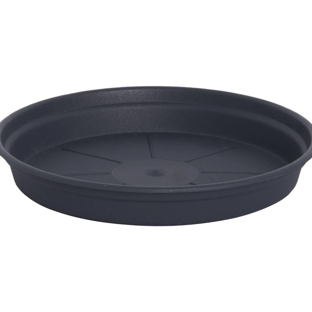 Alunen Gardenico Camelie 10 cm