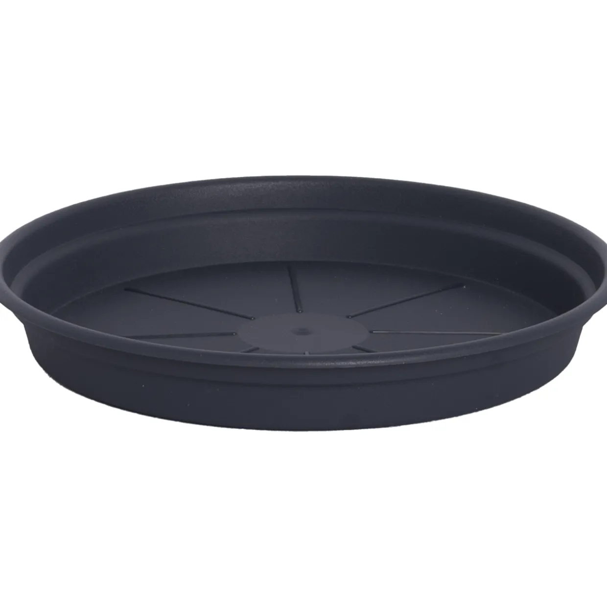 Alunen Gardenico Camelie 18 cm