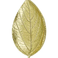 Alunen Kotikulta 16 cm lehti