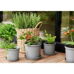 Alusvati Orthex 12 cm Recycled Cultivate harmaa