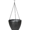 Amppeli Parco Flower 27 cm