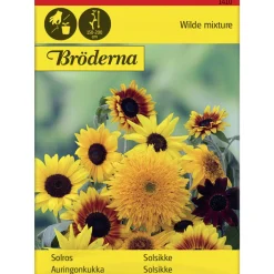 Auringonkukka seos siemen Bröderna Nelsons