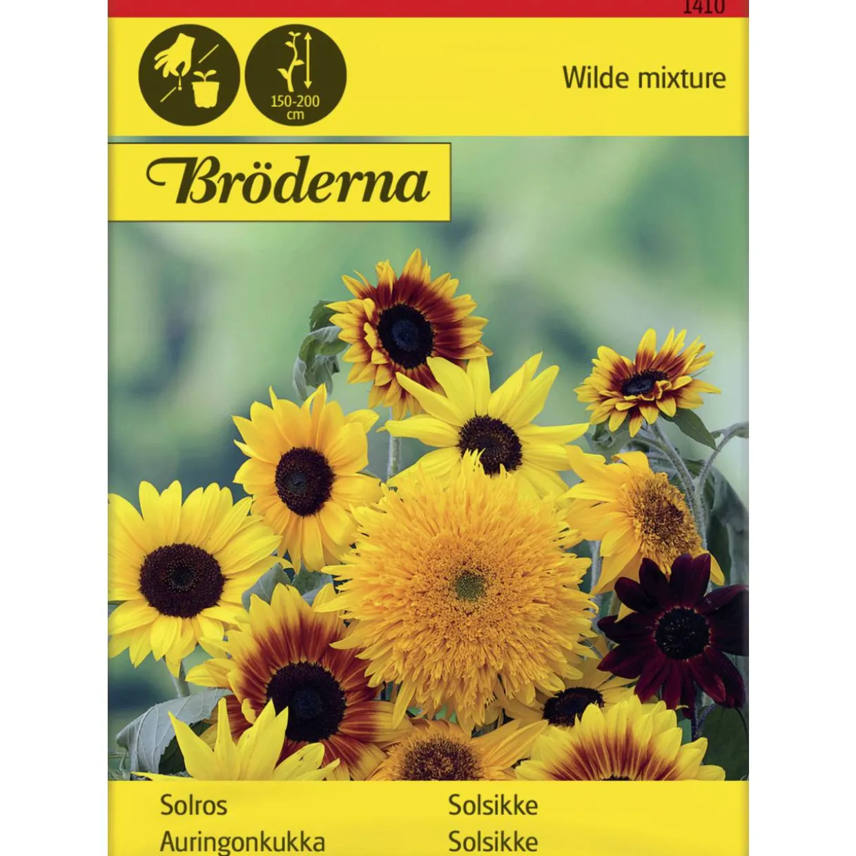 Auringonkukka seos siemen Bröderna Nelsons