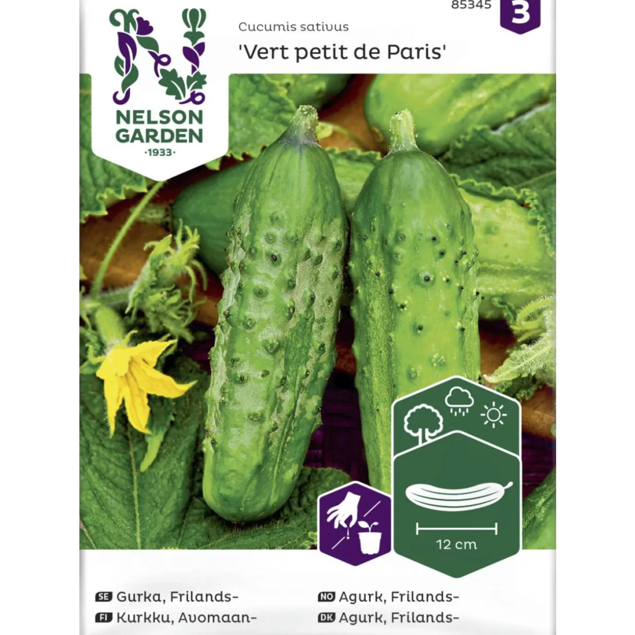 Avomaankurkku siemen Nelson Garden Basic Vert petit de Paris