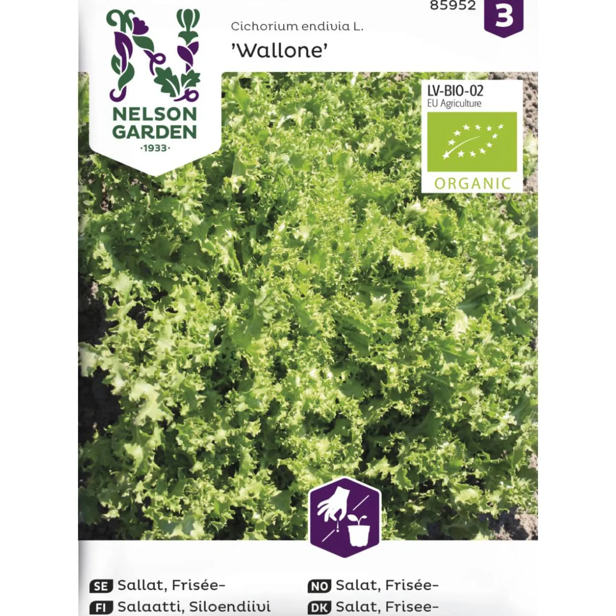 Endiivisalaatti siemen Nelson Garden Basic Wallone Organic