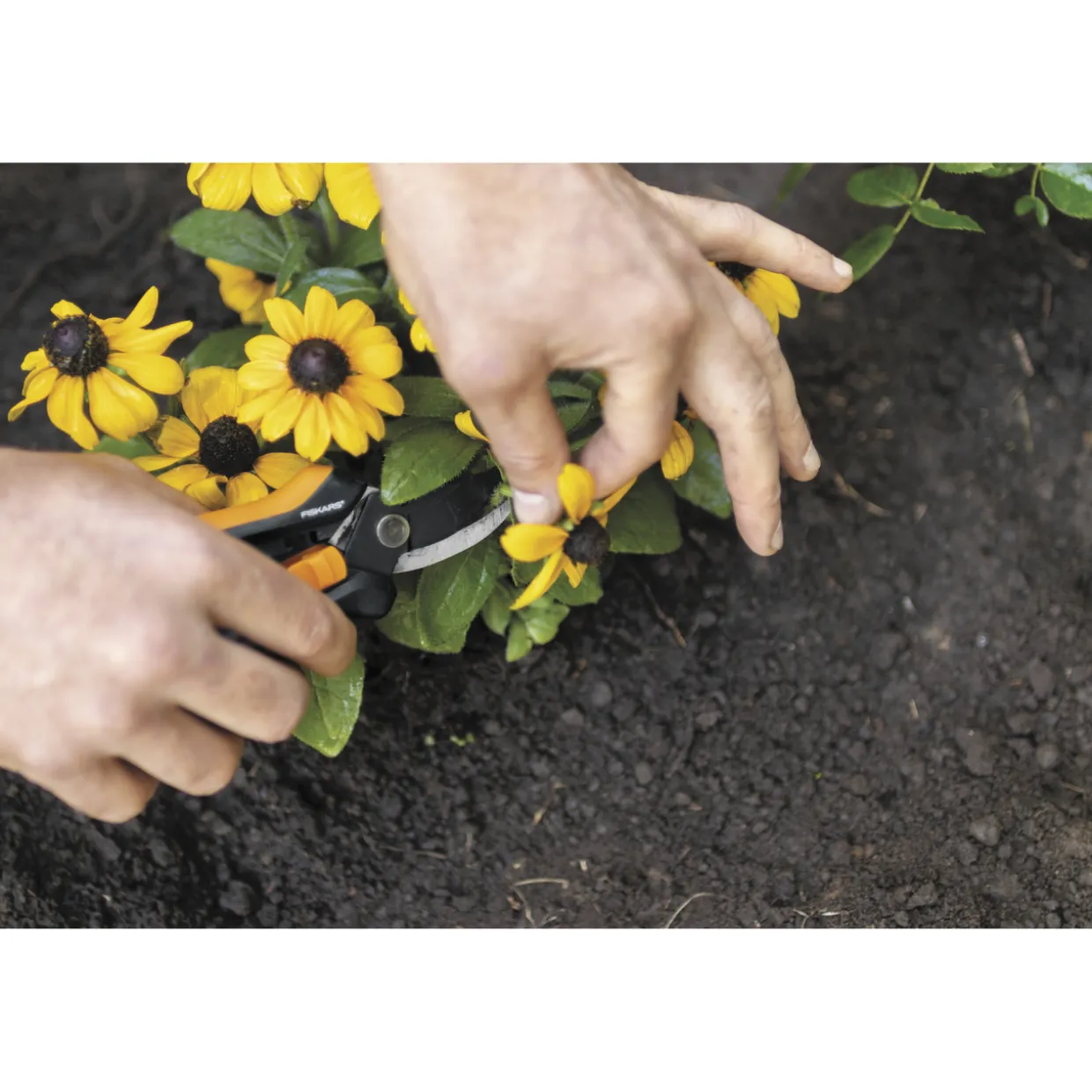 Floristin oksasakset Fiskars Solid Snip SP141