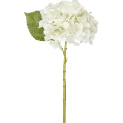 Hortensia Kotikulta 32 cm valkoinen