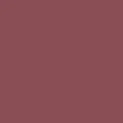 Huultenrajauskynä Wet N Wild 1,4 g Color Icon Plumberry