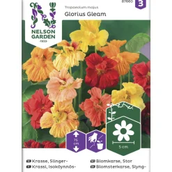 Isoköynnöskrassi siemen Nelson Garden Basic Glorious Gleam