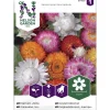 Isoolkikukka siemen Nelson Garden Basic Väriseos