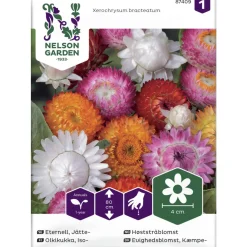 Isoolkikukka siemen Nelson Garden Basic Väriseos