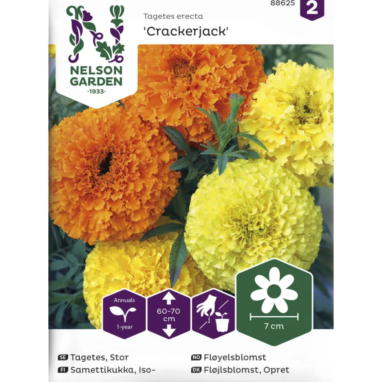Isosamettikukka siemen Nelson Garden Basic Crackerjack