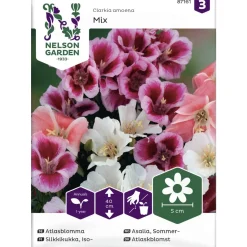 Isosilkkikukka siemen Nelson Garden Basic väriseos