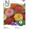 Isotsinnia siemen Nelson Garden Basic väriseos