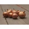Istukassipuli salottisipuli Red Sun 500 g Golden Selection