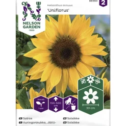 Jättiauringonkukka siemen Nelson Garden Basic Uniflorus