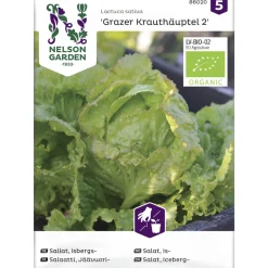 Jäävuorisalaatti siemen Nelson Garden Basic Grazer Krauthäuptel