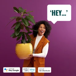 Kannettava valaisin WiZ Mobile