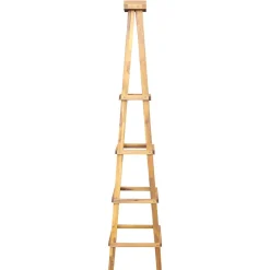 Kasvipyramidi Parco akaasia