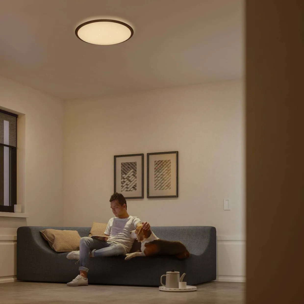 Kattovalaisin Philips Canaval 2700 K 18 W