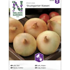 Keltasipuli siemen Nelson Garden Basic Stuttgarter Riesen