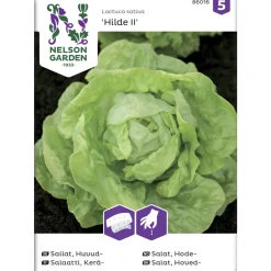 Keräsalaatti siemen Nelson Garden Basic Hilde kylvönauha