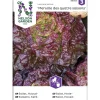 Keräsalaatti siemen Nelson Garden Basic Merveille des quatres