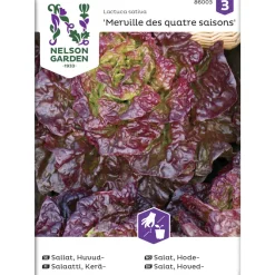 Keräsalaatti siemen Nelson Garden Basic Merveille des quatres
