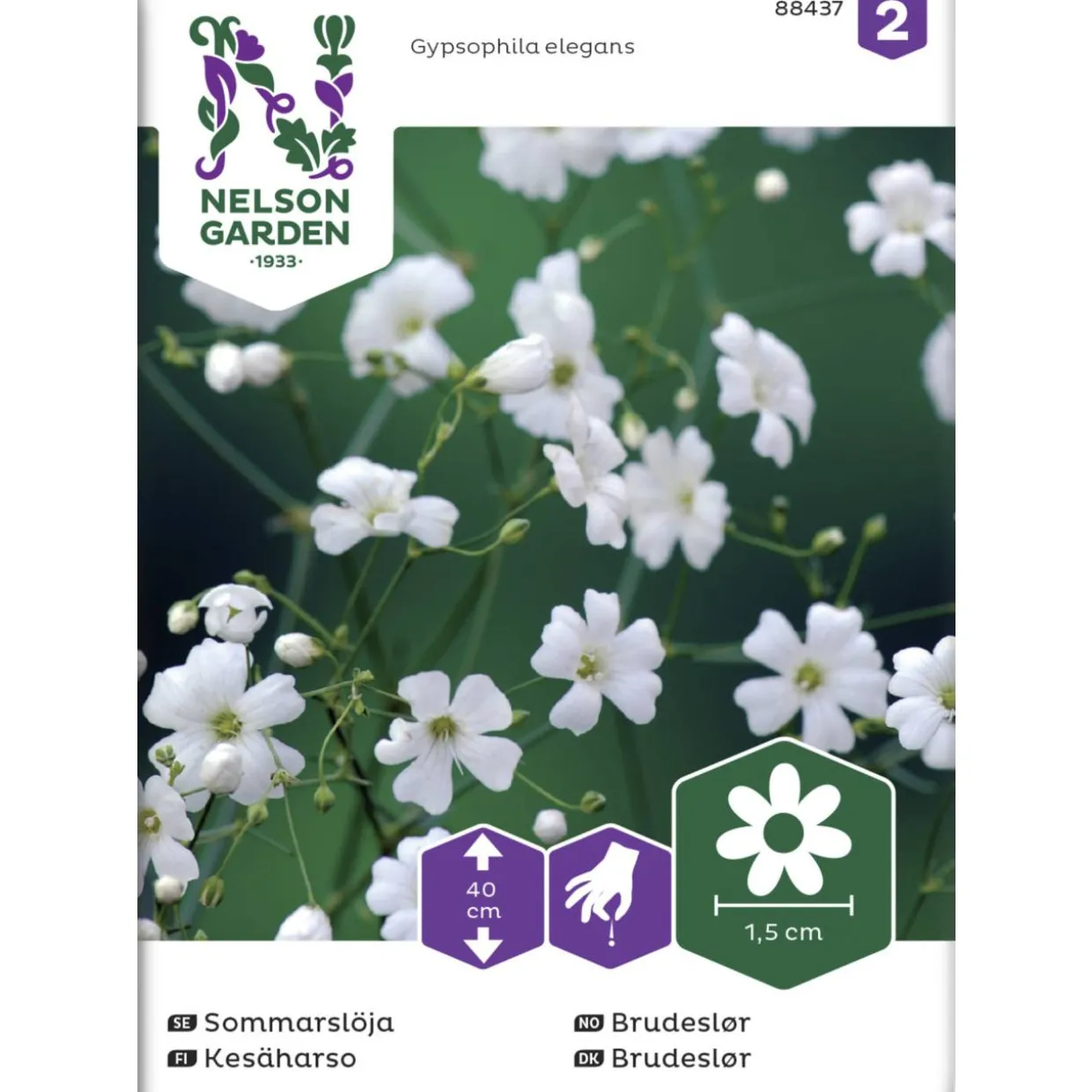 Kesäharso siemen Nelson Garden Basic