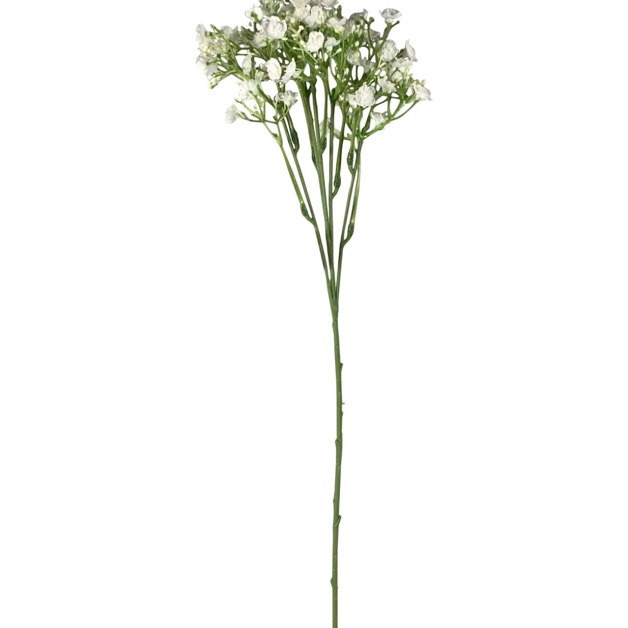 Kesäharso-oksa Kotikulta 46 cm