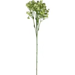 Kesäharso-oksa Kotikulta 46 cm