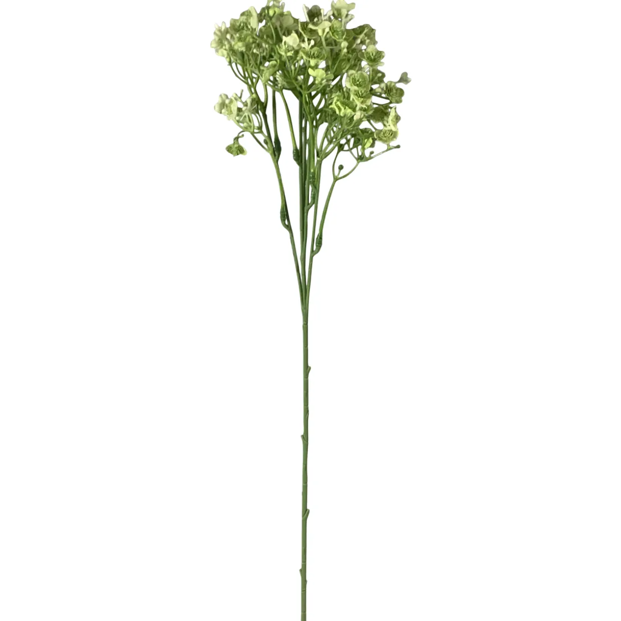 Kesäharso-oksa Kotikulta 46 cm