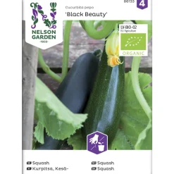 Kesäkurpitsa siemen Nelson Garden Basic Black Organic