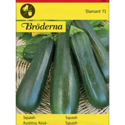 Kesäkurpitsa Zucchini Diamant F siemen Bröderna Nelsons