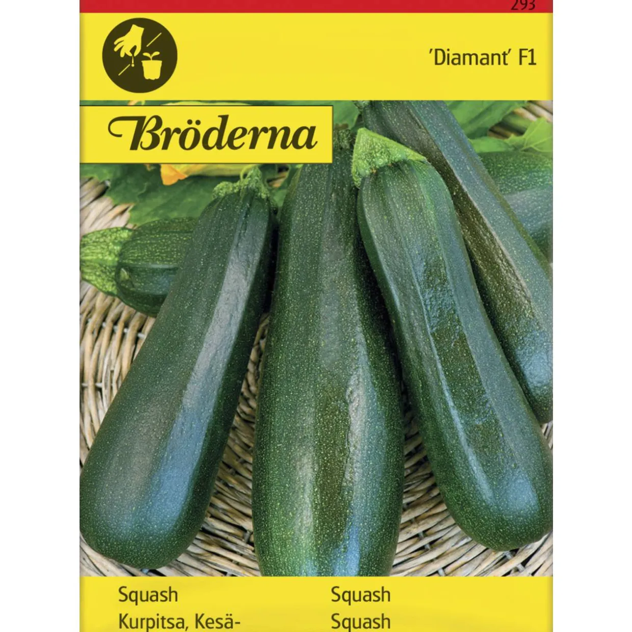 Kesäkurpitsa Zucchini Diamant F siemen Bröderna Nelsons