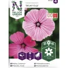 Kesämalvikki siemen Nelson Garden Basic Silver Cup