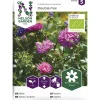 Kiinanasteri siemen Nelson Garden Basic väriseos Organic