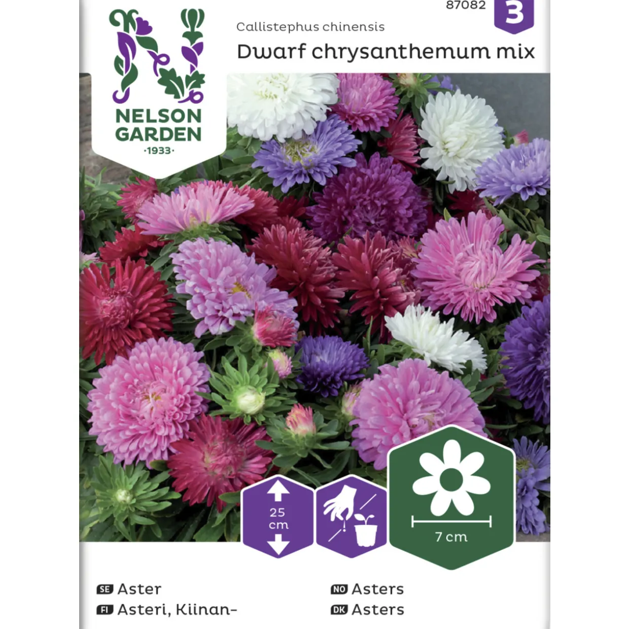 Kiinanasteri siemen Nelson Garden Basic Dwarf chrysanthemum seos