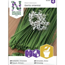 Kiinansipuli siemen Nelson Garden Basic