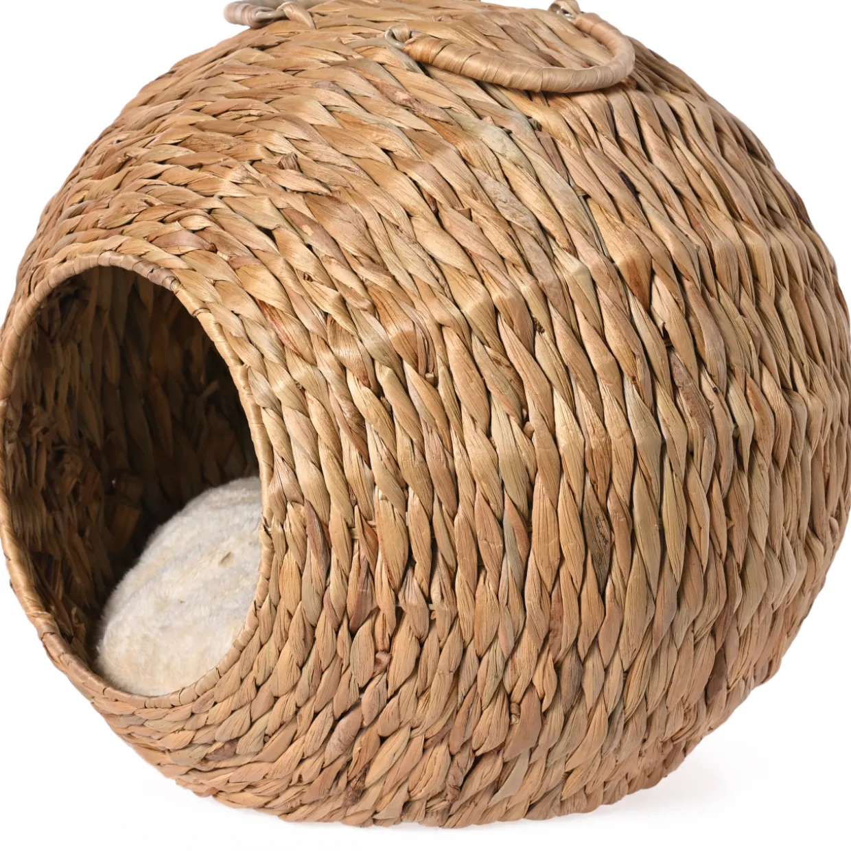 Kissan maja Jalo vesihyasintti