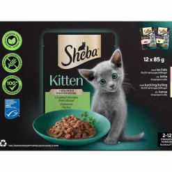 Kissanruoka Sheba 12 x 85 g Kitten kana & lohi kastikkeessa