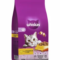 Kissanruoka Whiskas 3,8 kg 1+ Kanaa