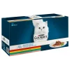 Kissanruoka 60 x 85 g Mini Filets kastikkeessa lajitelma