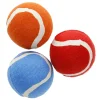 Koiran vinkutennispallot Real Dog M 3 kpl