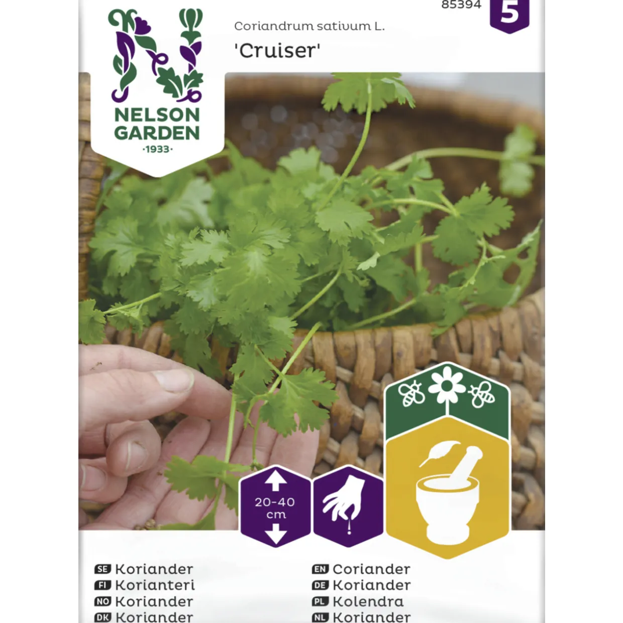Korianteri siemen Nelson Garden Basic Cruiser