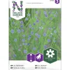Kuitupellava siemen Nelson Garden Basic