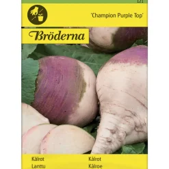 Lanttu Champion Purple Top siemen Bröderna Nelsons