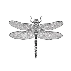 Lautasliina Kotikulta 33 x 33 cm kevät